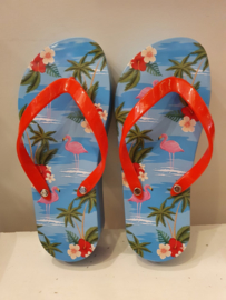 Flip Flop Blik (Flamingo)