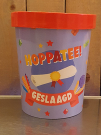 Candy Bucket (GESLAAGD)