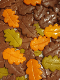 Herfst chocolade blaadjes