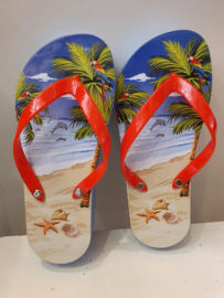 Flip Flop Blik (Papegaai)