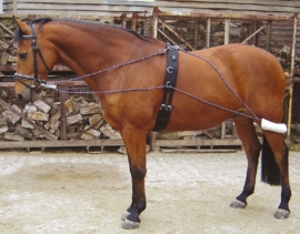 Harry's Horse Longeerhulpteugel Pessoa