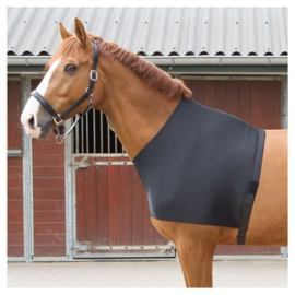 Harry's Horse Lycra chest protector