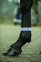 HKM Reflecting Band with Velcro