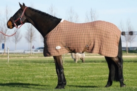 Harry's Horse Cooler rug summer