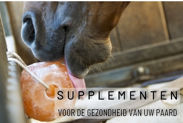 Paarden Paardensport Ruitersport Ruitershop Horseshop Equinus Equestrian Balen Mol Olmen Geel Webshop Online Winkelen Kopen