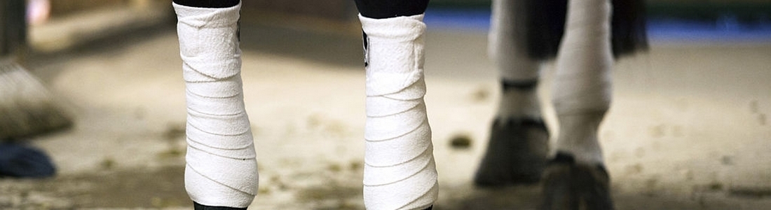 Bandages Wraps Legs Horse Horses Protection Leg Fleece Elastic Half Cotton