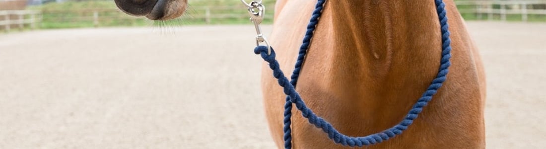 Hy Range PRO Premium Tough Nylon Horse Leading Ropes/Leadropes Lead Reins_simple