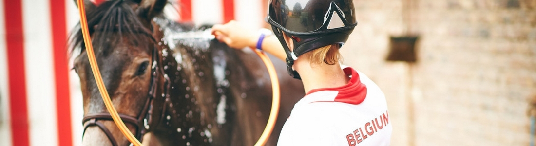 Verzorging Borstels Borstel Paard Boxen Wassen Sponzen Aftrekker Zweetmessen