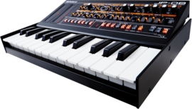 Roland K-25M Boutique Keyboard