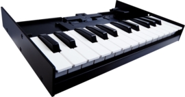 Roland K-25M Boutique Keyboard