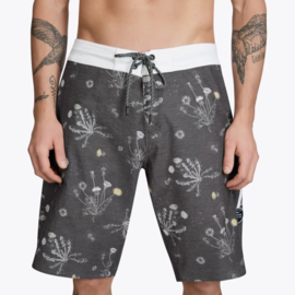 MYSTIC The Dandy boardshort