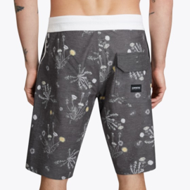 MYSTIC The Dandy boardshort