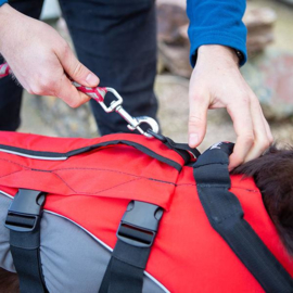 RED PADDLE Original DOG BUOYANCY AID (Honden reddingsvest)