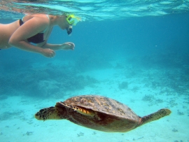 WAIMEA Snorkelset senior