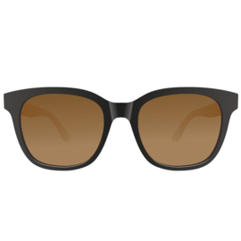 APHEX Sunglass Echo matt black frame full brown lens