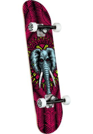 Santa Cruz complete Powell Peralta Vallely Elephant