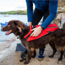 RED PADDLE Original DOG BUOYANCY AID (Honden reddingsvest)