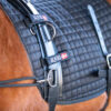EQUES Core Trainer Lunging System