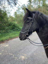 Ástund wedstrijd multibridle, super soft leer zwart