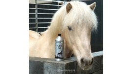 Omega3 Oil voor paarden