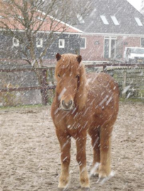 Weerstandpakket