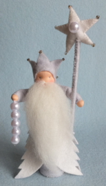 Koning winter