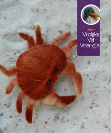 Zeepaardjes en krab op koraal