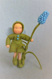 Blauw druifje
