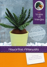 Vetplant Haworthia Attenuata