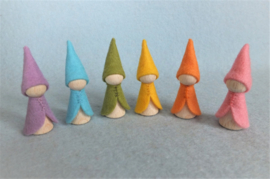 Zes regenboog kabouters pastel