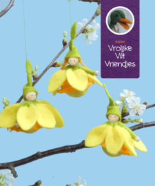 Narcis bolletjes