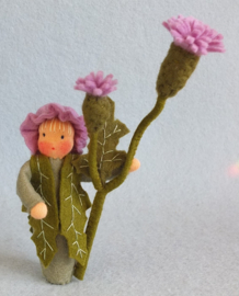 Bloemenkind Distel