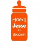 Geboortesticker voor op het raam (jesse)