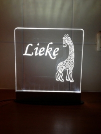 Ledlamp met wit licht