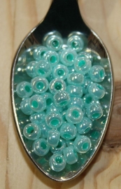 Seed bead - 6/0 - ceylon aqua green
