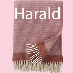 Wollen plaid Harald dusty rose/copper