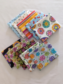 10 Fat Quarters - Hoot Hoot