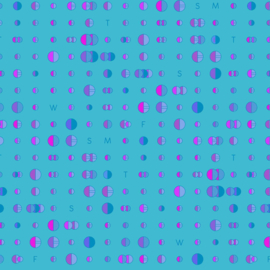 Soliloquy Data Lagoon  - 1220B