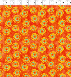 ABC's of Color Suns Orange - 8JHW1