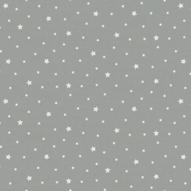 Scandi  Stars Grey  - 2577S