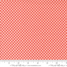 Raspberry Summer Carnation - 37697/12