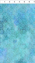 Dear Clara Fiels Sky - 11DCL2