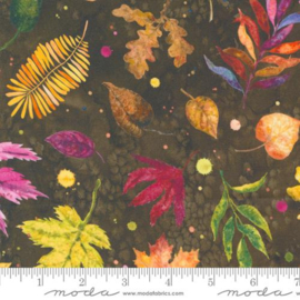 Floribunda Soil - 39804/18