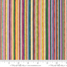 Floribunda Rainbow - 39811/11