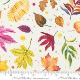 Floribunda Cloud - 39804/11