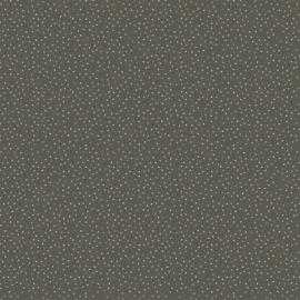 Country Confetti Grey - 20187