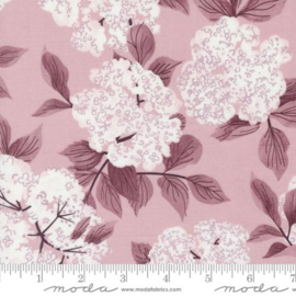 Love Letter Elderberry Blossoms - 37123/36