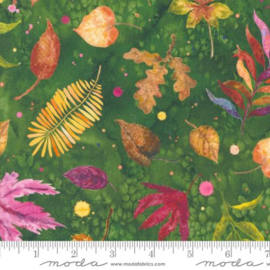 Floribunda Herb - 39804/14