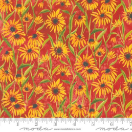 Floribunda Spice - 39805/14