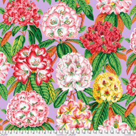 Kaffe Fassett - PWPJ124LAVENDER